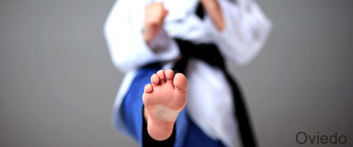 Las 9 mejores Escuelas de Taekwondo en Oviedo
